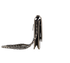 CC Wallet On Chain, side view